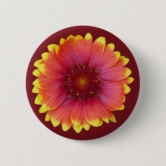 Gaillardia 1 button (Vorderseite)