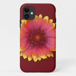 Gaillardia 1 Case-Mate iPhone hülle