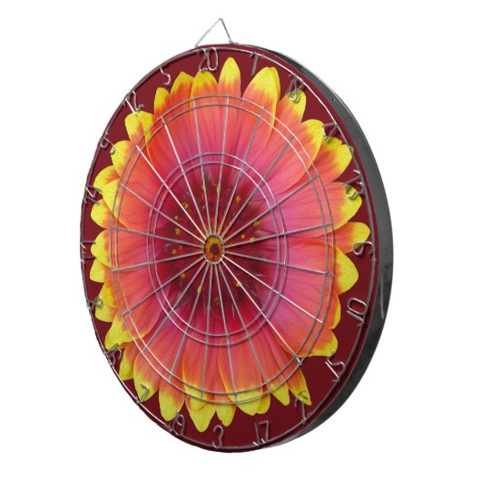 Gaillardia 1 dartscheibe (Vorderseite rechts)