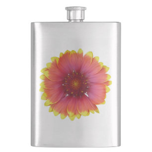 Gaillardia 1 flachmann