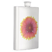 Gaillardia 1 flachmann (Rechts)