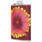 Gaillardia 1 flachmann (Links)