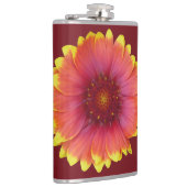 Gaillardia 1 flachmann (Rechts)