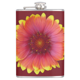 Gaillardia 1 flachmann