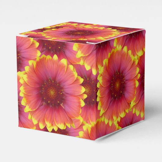 Gaillardia 1 geschenkschachtel (Vorderseite)