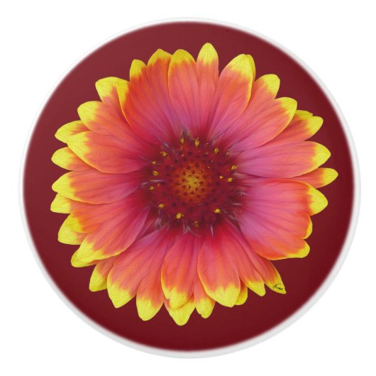 Gaillardia 1 keramikknauf (Vorderseite)