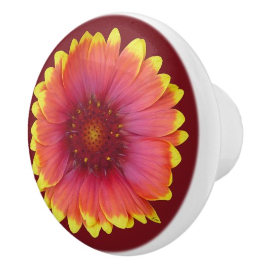 Gaillardia 1 keramikknauf (Rechts)