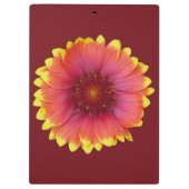 Gaillardia 1 klemmbrett (Rückseite)