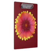 Gaillardia 1 klemmbrett (Rechts)