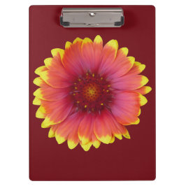 Gaillardia 1 klemmbrett