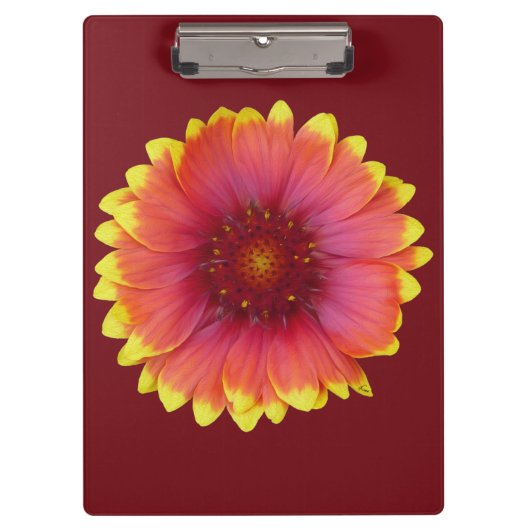 Gaillardia 1 klemmbrett (Vorderseite)