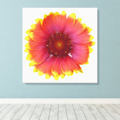 Gaillardia 1 leinwanddruck (Insitu (Holzboden))