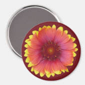Gaillardia 1 magnet (Vorderseite/Rückseite)