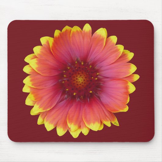 Gaillardia 1 mousepad (Vorne)