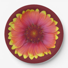 Gaillardia 1 pappteller