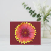 Gaillardia 1 postkarte (Stehend Vorderseite)