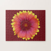 Gaillardia 1 puzzle (Horizontal)