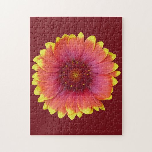 Gaillardia 1 puzzle (Vertikal)