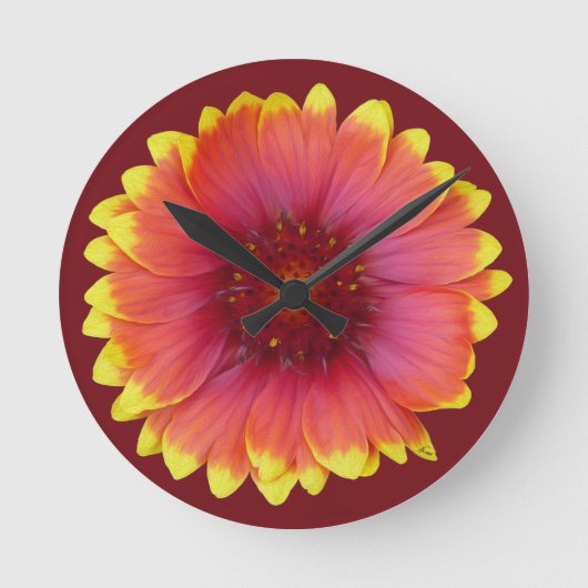 Gaillardia 1 runde wanduhr (Vorderseite)
