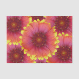 Gaillardia 1 seidenpapier