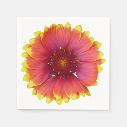 Gaillardia 1 serviette (Vorderseite)