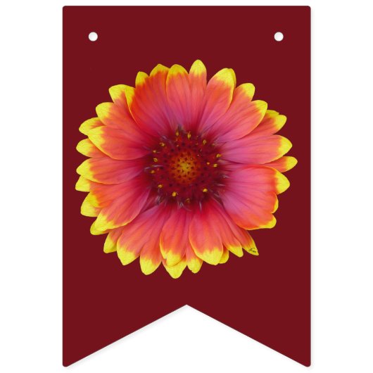 Gaillardia 1 wimpelkette (Zweite Fahne)