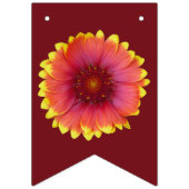 Gaillardia 1 wimpelkette (Erste Fahne)
