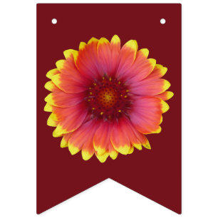 Gaillardia 1 wimpelkette
