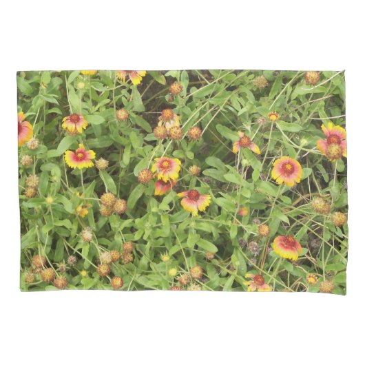 Gaillardia / Blanket Blume Kissenbezug (Vorderseite)