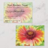Gaillardia Blume Nah Visitenkarte (Vorne/Hinten)