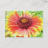 Gaillardia Blume Nah Visitenkarte (Rückseite)