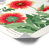 Gaillardia, Plumbago von Tanigami Konan Poster (Ecke)