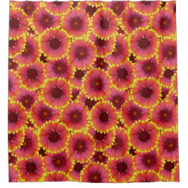 Gaillardia Seamless Pattern Duschvorhang