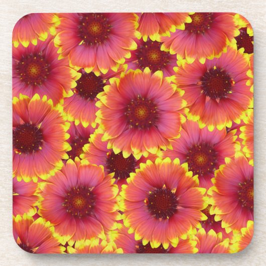 Gaillardia Seamless Pattern Getränkeuntersetzer (Vorderseite)