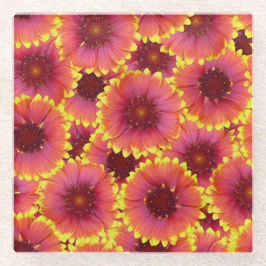 Gaillardia Seamless Pattern Glasuntersetzer (Vorderseite)