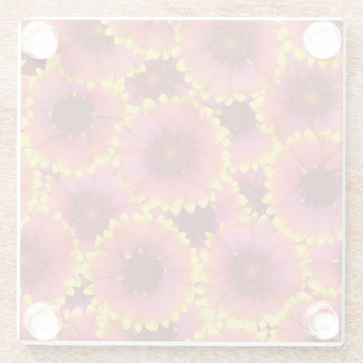 Gaillardia Seamless Pattern Glasuntersetzer (Rückseite)
