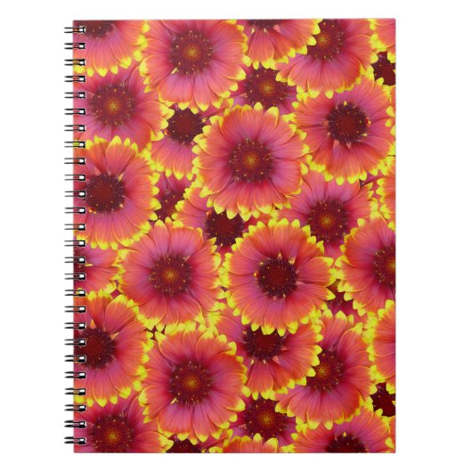 Gaillardia Seamless Pattern Notizblock (Vorderseite)