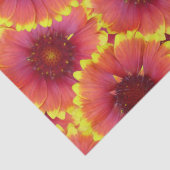 Gaillardia Seamless Pattern Seidenpapier (Detail)