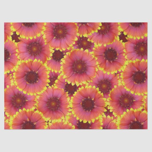 Gaillardia Seamless Pattern Seidenpapier (Vorderseite)
