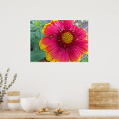 Gaillardia und Ladybug Poster (Küche)