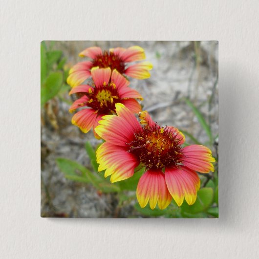 Gaillardia Wildblume (Blanket-Blume) Tote Beutel Button (Vorderseite)