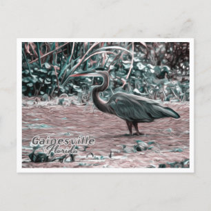 GAINESVILLE FLORIDA POSTKARTE