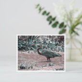 GAINESVILLE FLORIDA POSTKARTE (Stehend Vorderseite)