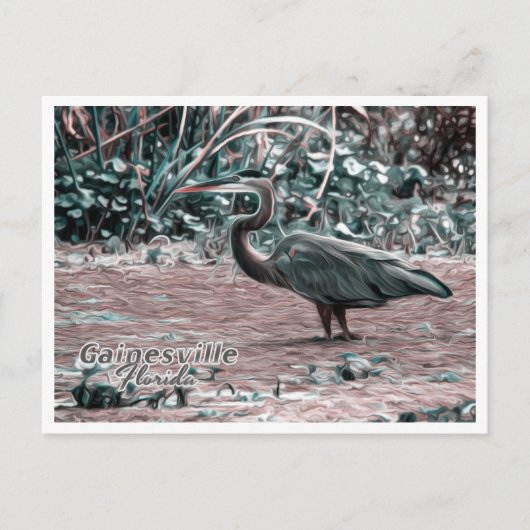 GAINESVILLE FLORIDA POSTKARTE (Vorderseite)