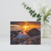 Gaint´s  Causeway in Irland Postkarte (Stehend Vorderseite)