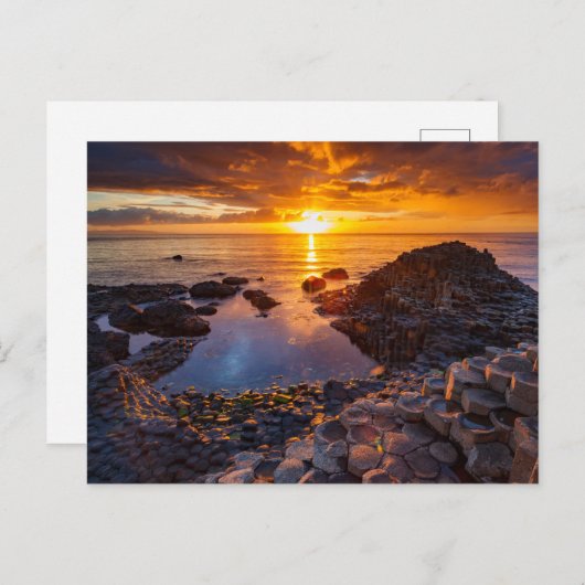 Gaint´s Causeway in Irland Postkarte (Vorne/Hinten)