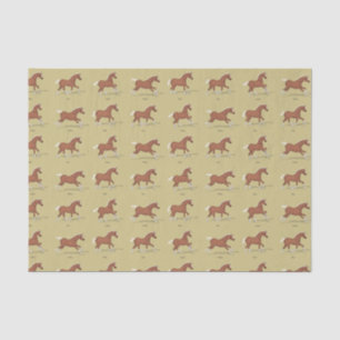 Gaits of the Horse Walk Trot Canter Gallop Sorrel Seidenpapier