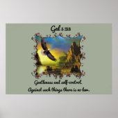 Gal 5:23 Ruhe und Kontrolle Poster (Vorne)