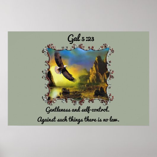 Gal 5:23 Ruhe und Kontrolle Poster (Vorne)