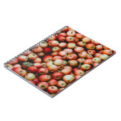 GALA APPLES NOTIZBLOCK (Linke Seite)